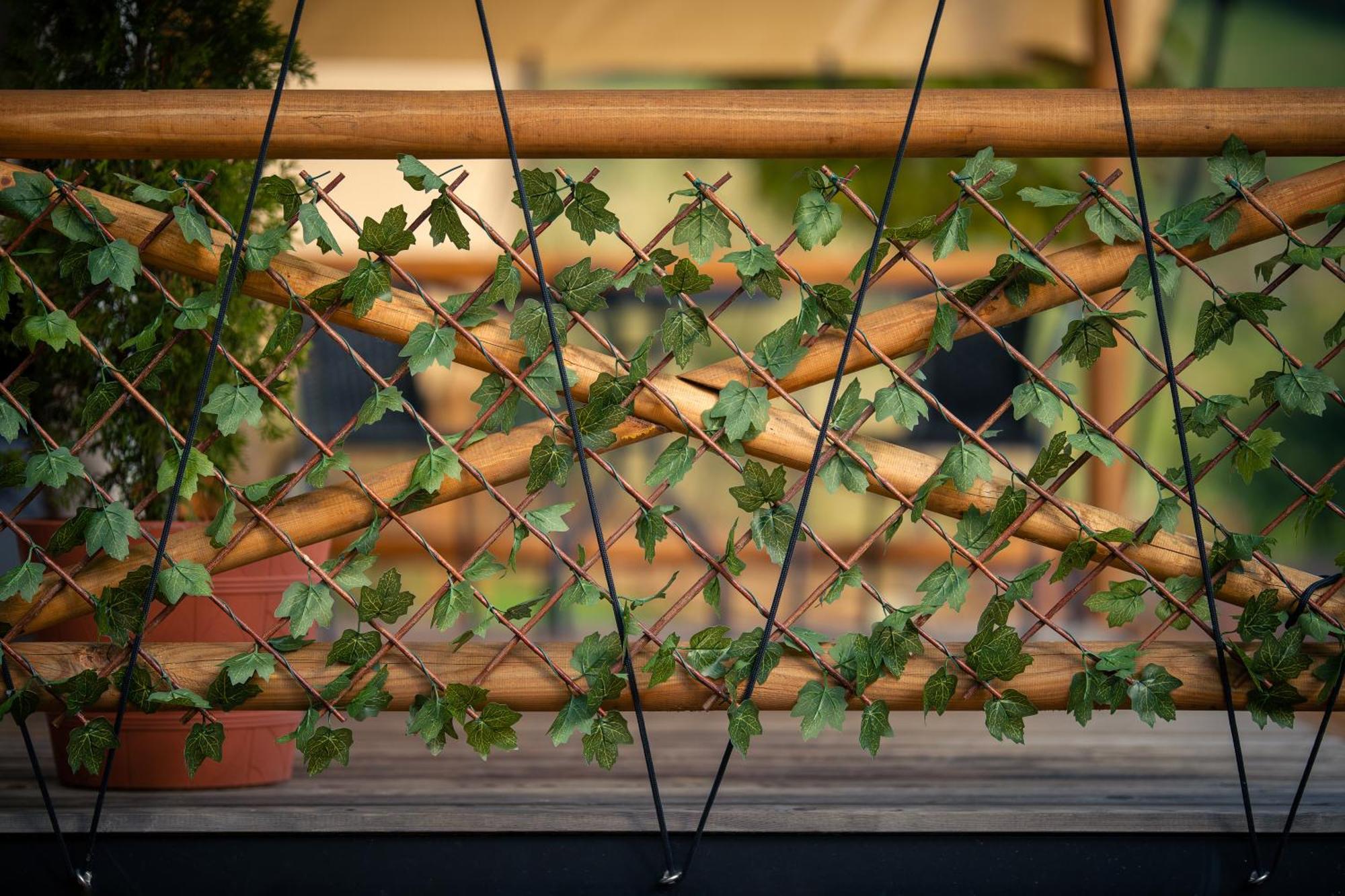 Hotel Glamping Pod Gwiazdami Pietrusza Wola Extérieur photo