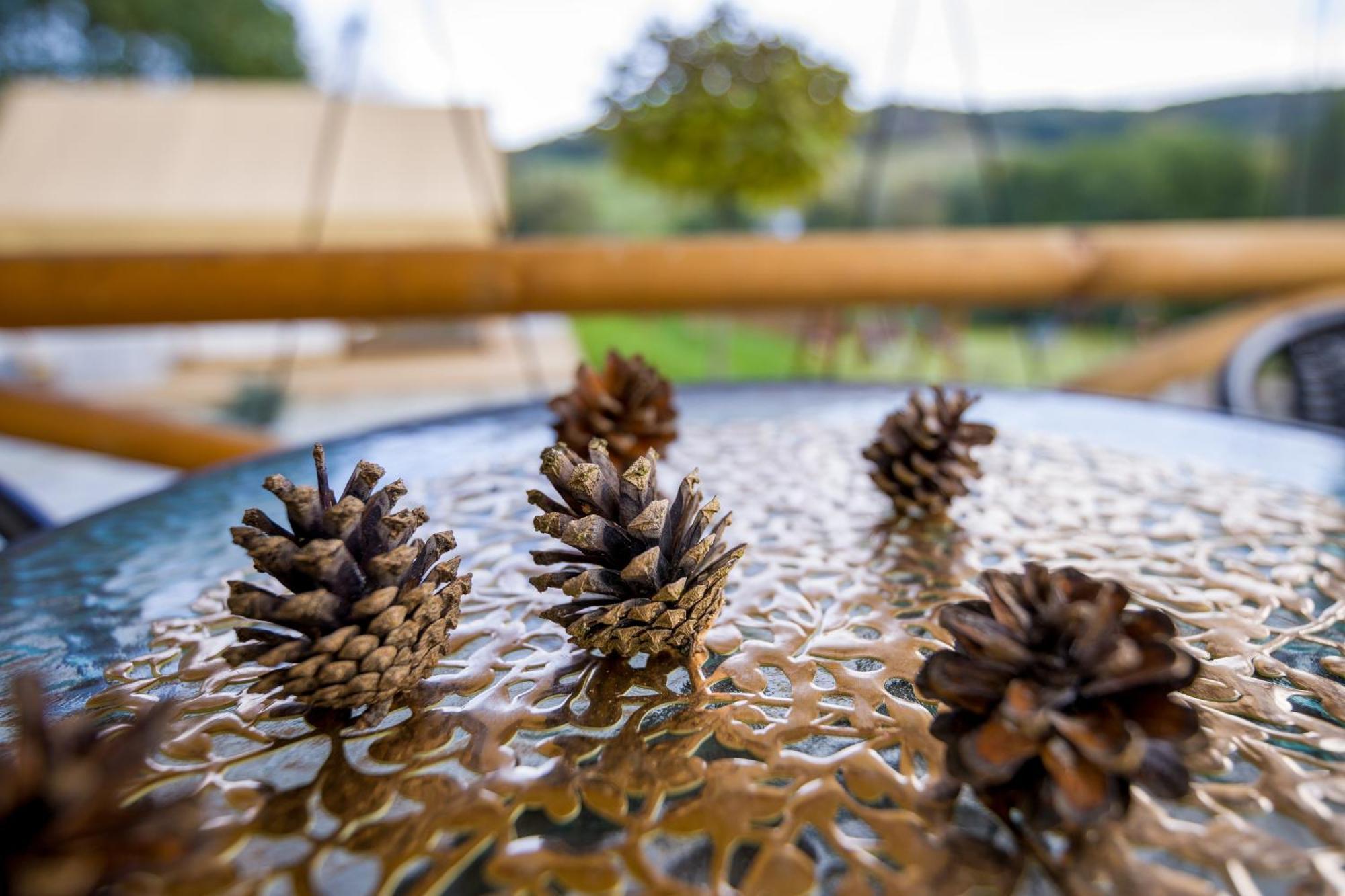 Hotel Glamping Pod Gwiazdami Pietrusza Wola Extérieur photo